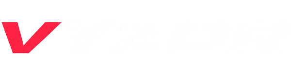 Vyzor